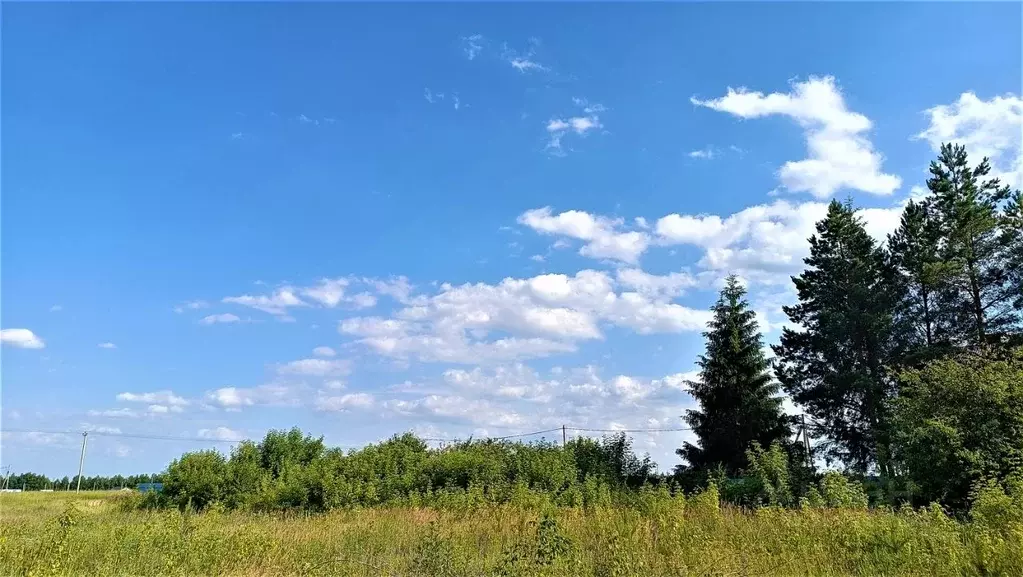 Участок в Тамбовская область, Тамбовский муниципальный округ, д. ... - Фото 0