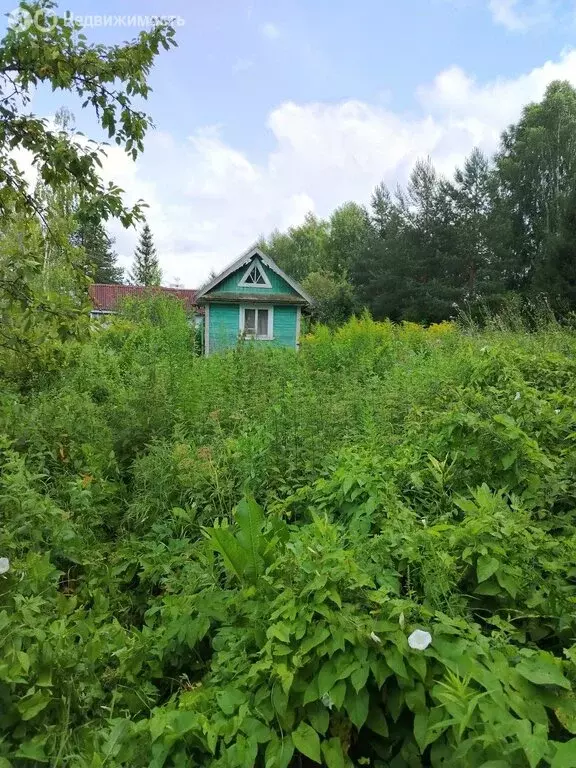 Участок в Вологда, садоводческое товарищество Ремонтник, 74 (6.5 м) - Фото 1