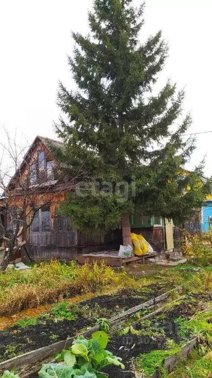 Дом в Свердловская область, Екатеринбург Энергия СНТ,  (35 м) - Фото 1
