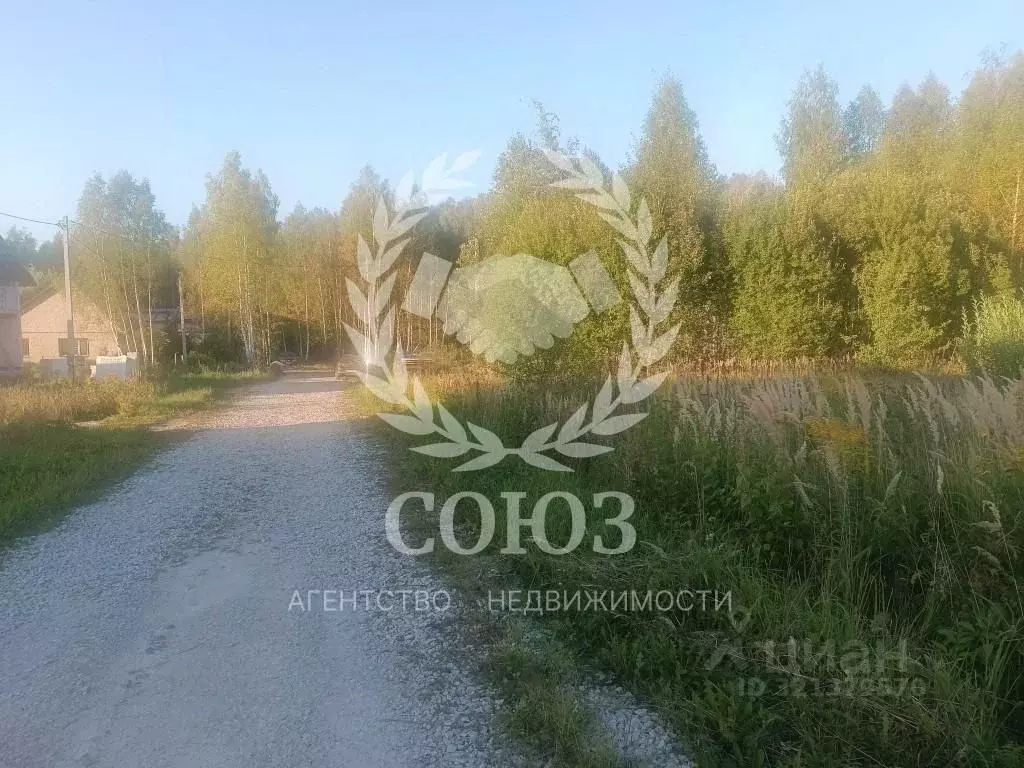 Участок в Калужская область, пос. Ферзиково ул. Восточная, 8 (9.96 ... - Фото 2