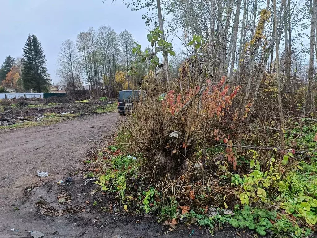 Участок в Ленинградская область, Ломоносовский район, Пениковское ... - Фото 2