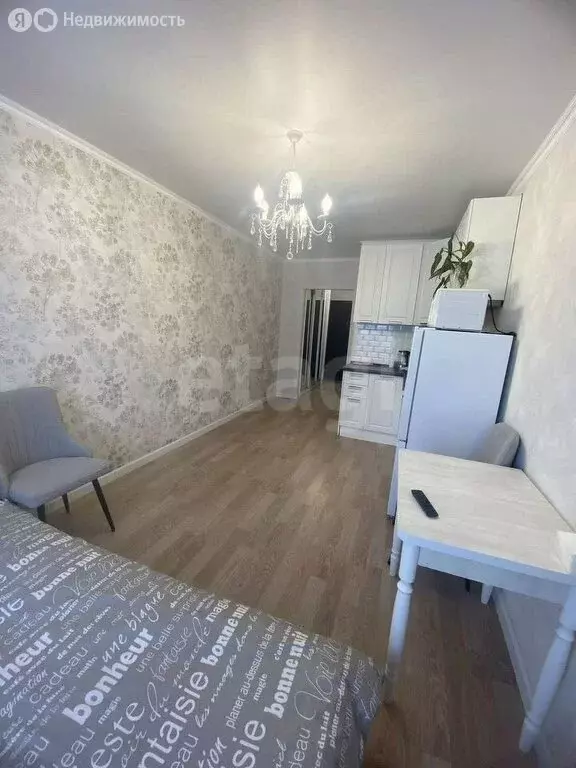 Квартира-студия: Мурино, улица Шоссе в Лаврики, 67 (24.6 м) - Фото 2