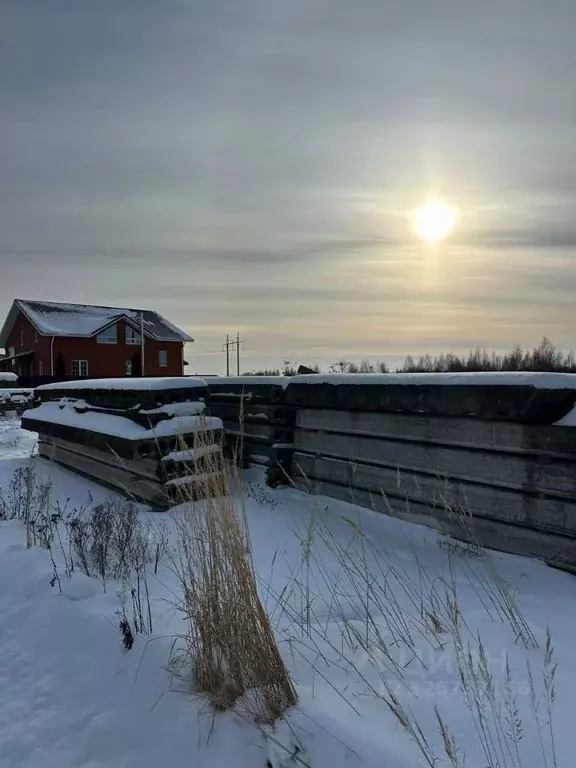 Участок в Псковская область, Псковский район, Завеличенская волость, ... - Фото 2