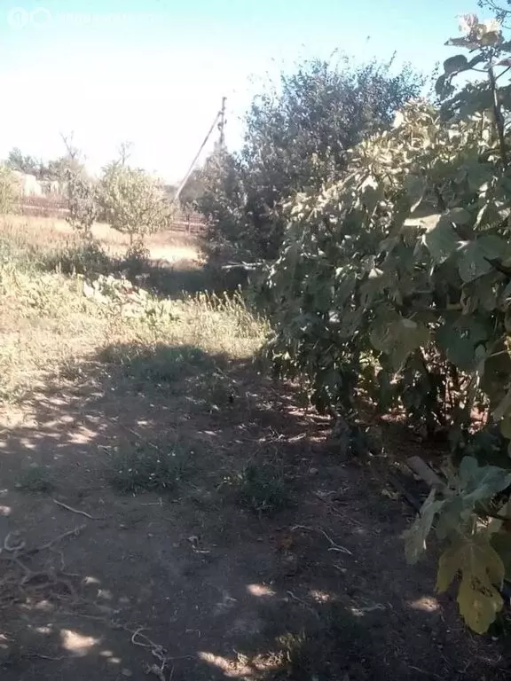 Дом в Сакский район, Ореховское сельское поселение, садоводческий ... - Фото 2