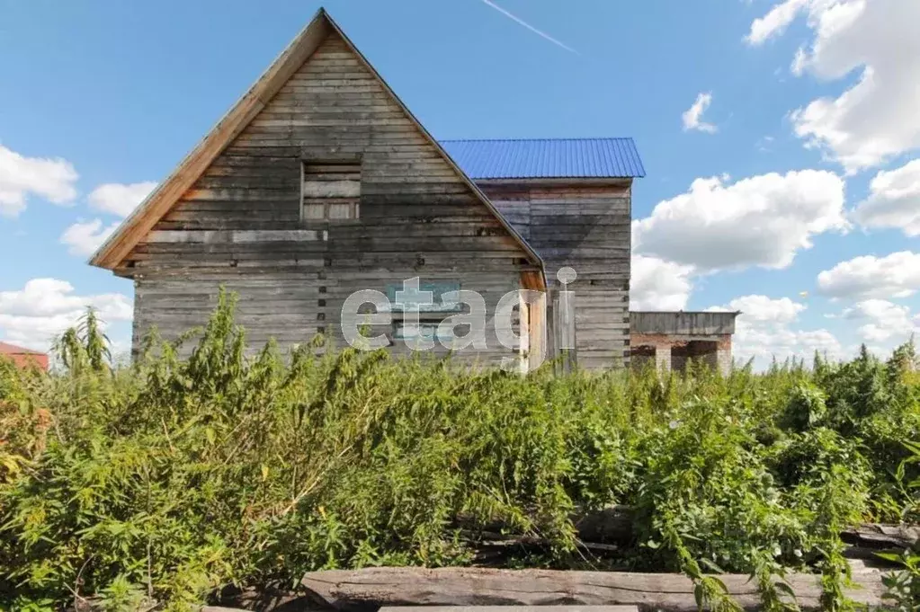 Участок в Тюменская область, Ишимский район, д. Быкова Большая ул. ... - Фото 0