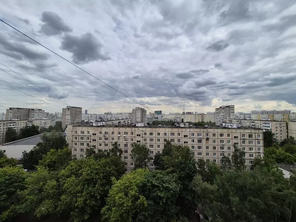 2-к. квартира, 52 м, 11/11 эт. - Фото 0