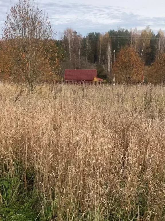 Участок в Ленинградская область, Лужский район, Толмачевское городское ... - Фото 1