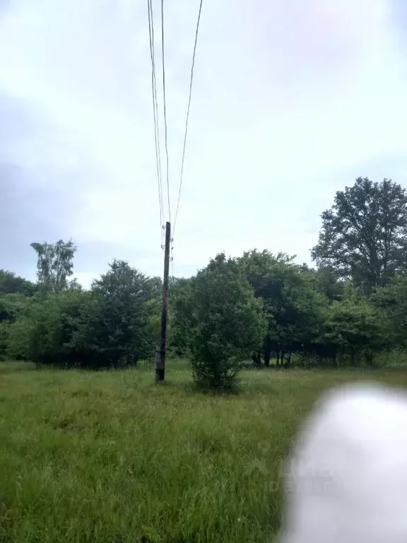 Участок в Воронежская область, Рамонский район, Айдаровское с/пос, с. ... - Фото 1