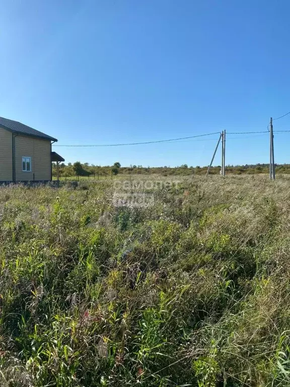 Участок в Московская область, Истра муниципальный округ, д. Загорье, ... - Фото 1