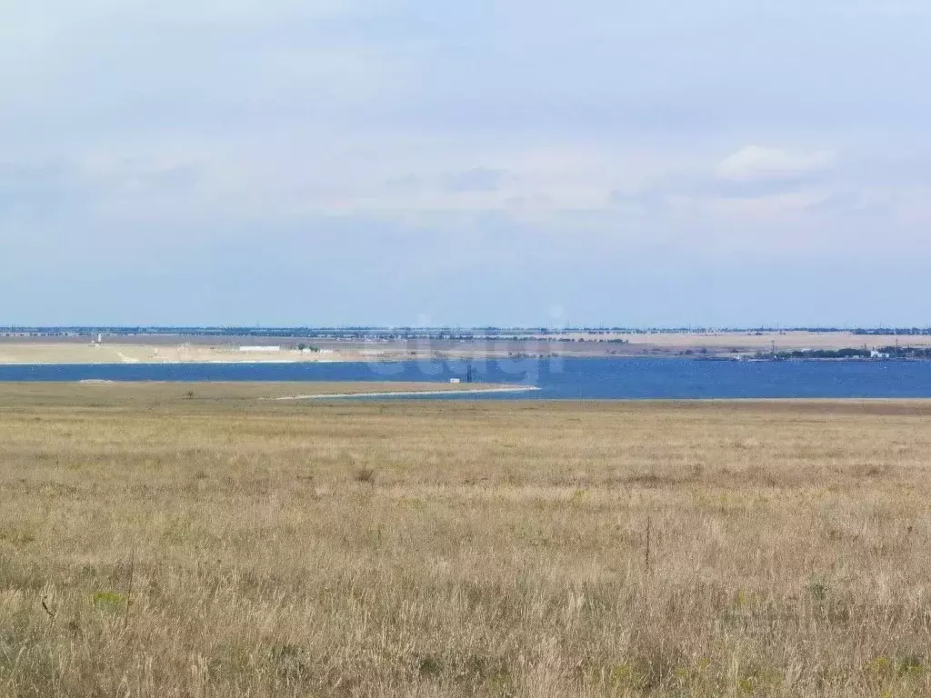 Участок в Крым, Черноморский район, Медведевское с/пос, с. Медведево  ... - Фото 2