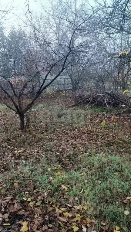 Участок в Ростовская область, Аксайский район, Щепкинское с/пос, ... - Фото 1