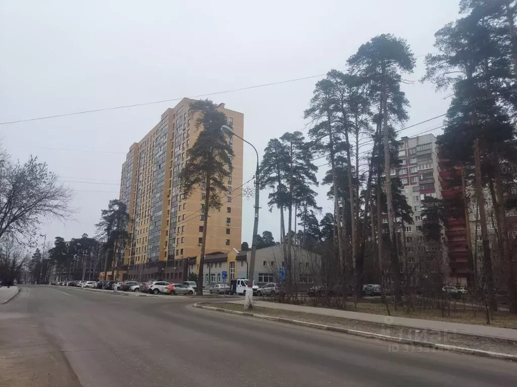 Студия Московская область, Жуковский Нижегородская ул., 31А (22.2 м) - Фото 0