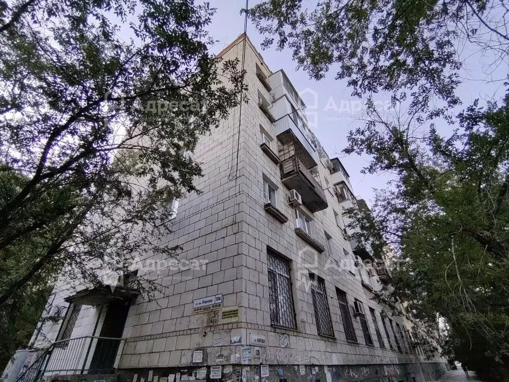 3-к кв. Волгоградская область, Волгоград ул. Кирова, 126 (55.1 м) - Фото 1