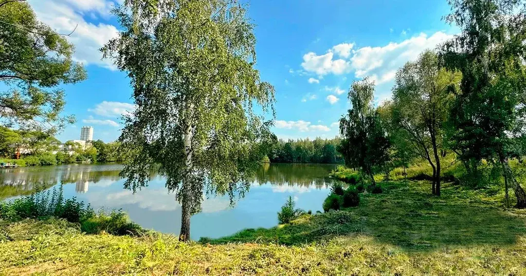 Участок в Московская область, Дмитровский муниципальный округ, д. ... - Фото 2