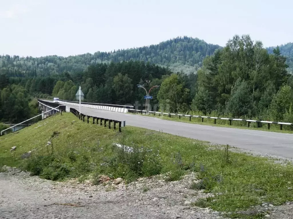 Участок в Алтай, Турочакский район, с. Верх-Бийск Береговая ул. (20.0 ... - Фото 1