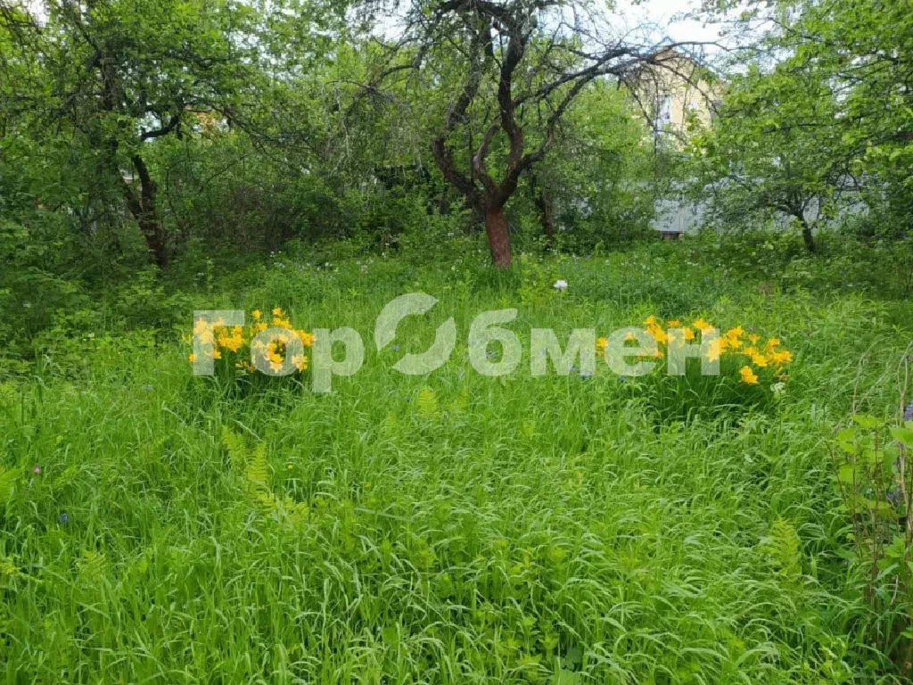 Продается дом в с. Жаворонки - Фото 1