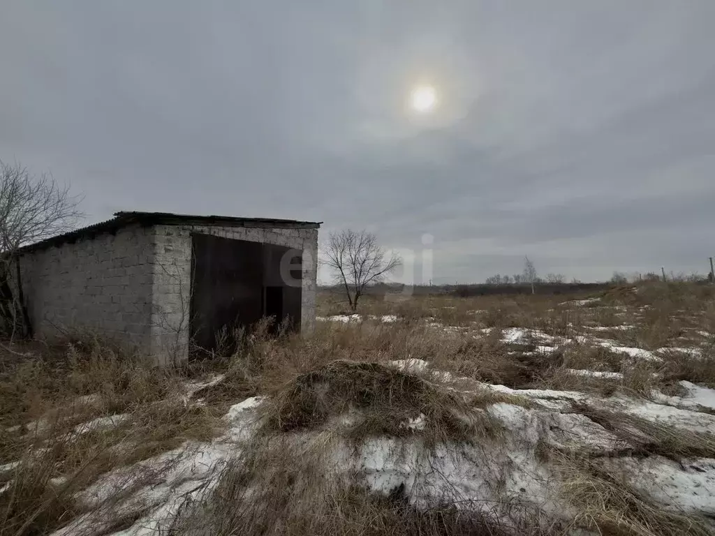 Участок в Курганская область, Кетовский муниципальный округ, с. ... - Фото 1