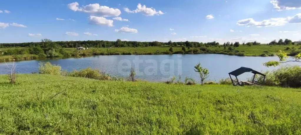 Участок в Воронежская область, Рамонский район, с. Русская Гвоздевка  ... - Фото 2