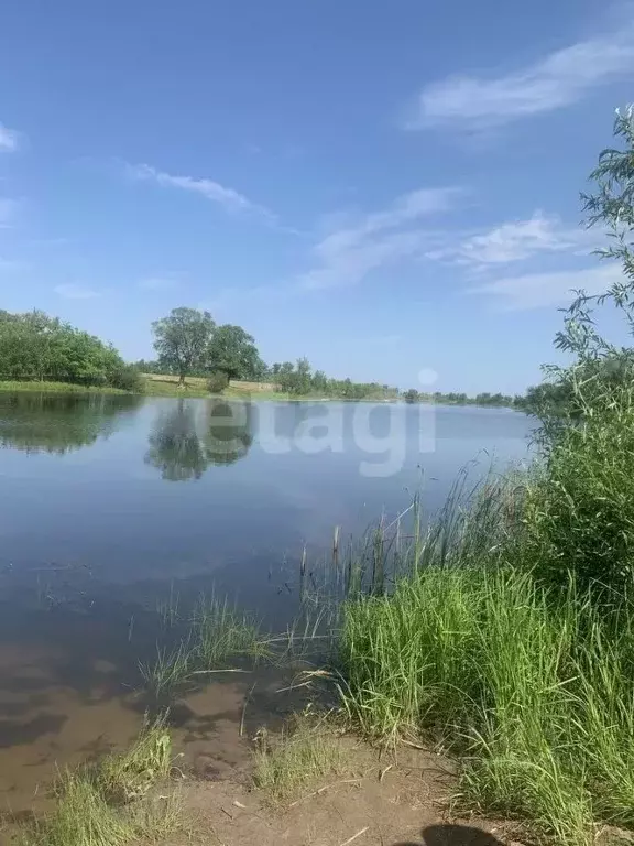 Участок в Саратовская область, Энгельсский район, Красноярское ... - Фото 1