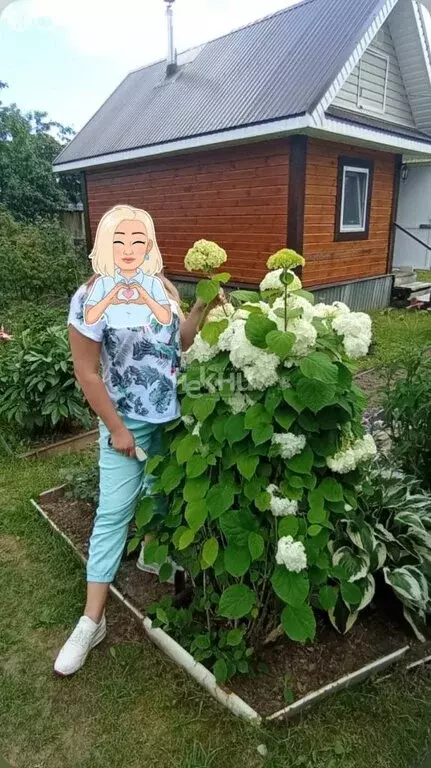 Дом в Нижегородская область, Городецкий муниципальный округ, деревня ... - Фото 2