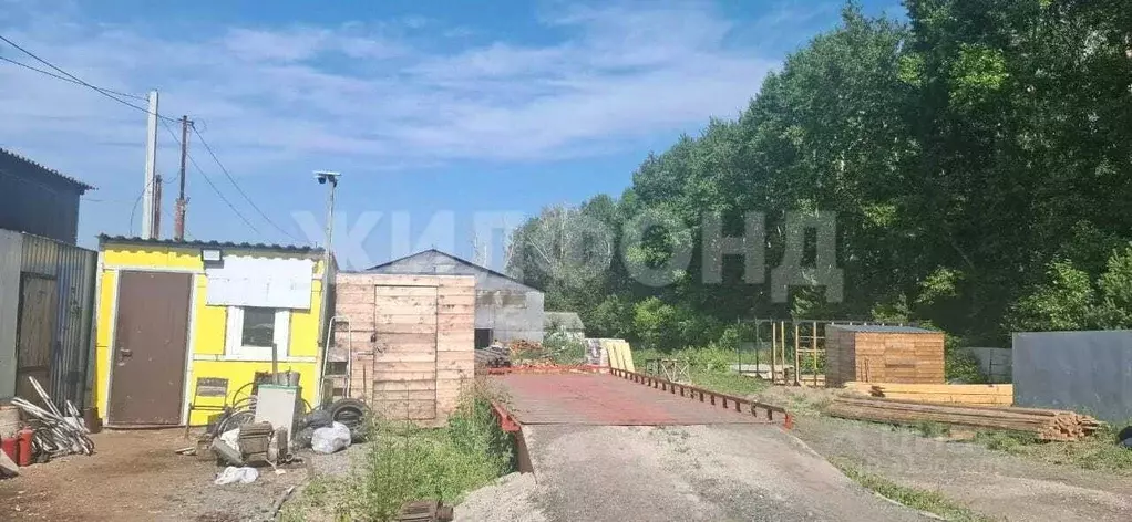 Производственное помещение в Новосибирская область, Колывань рп ул. ... - Фото 1