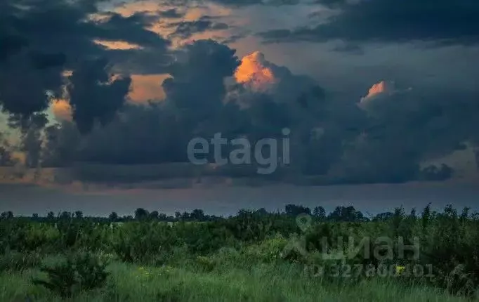 Участок в Алтайский край, Каменский район, с. Гонохово Гоноховская ул. ... - Фото 1
