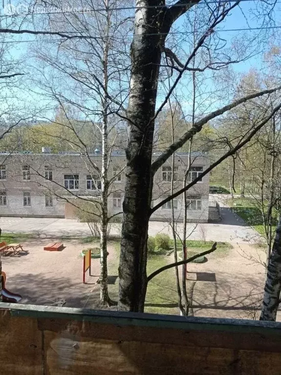 1-комнатная квартира: Санкт-Петербург, улица Вавиловых, 11к3 (30 м) - Фото 1