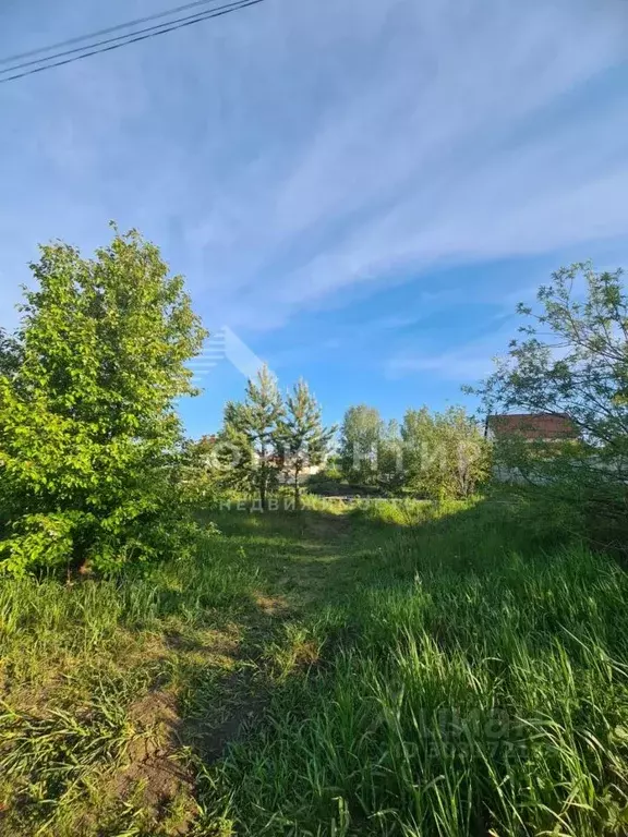 Участок в Свердловская область, Арамиль Новая ул., 10 (12.0 сот.) - Фото 0