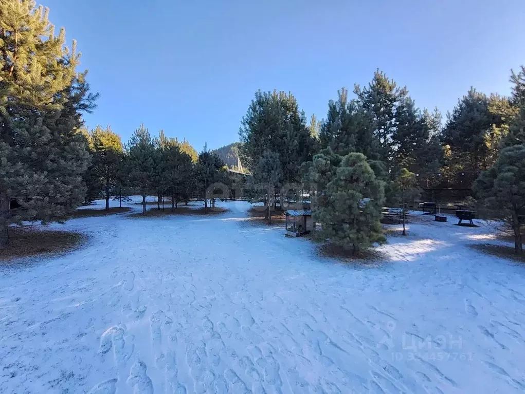 Дом в Алтай, Чемальский район, пос. Усть-Сема пер. Охотничий, 6 (180 ... - Фото 1