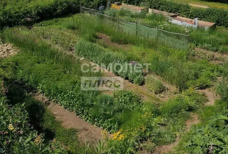 Участок в Марий Эл, Волжский муниципальный округ, Приволжский пгт ул. ... - Фото 1