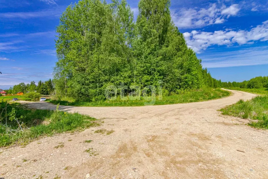 Участок в Вологодская область, Сокольский муниципальный округ, д. ... - Фото 1