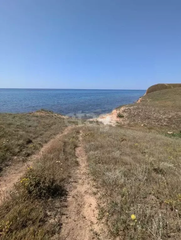 Участок в Крым, Черноморский район, с. Окуневка ул. Крупской (19.49 ... - Фото 0