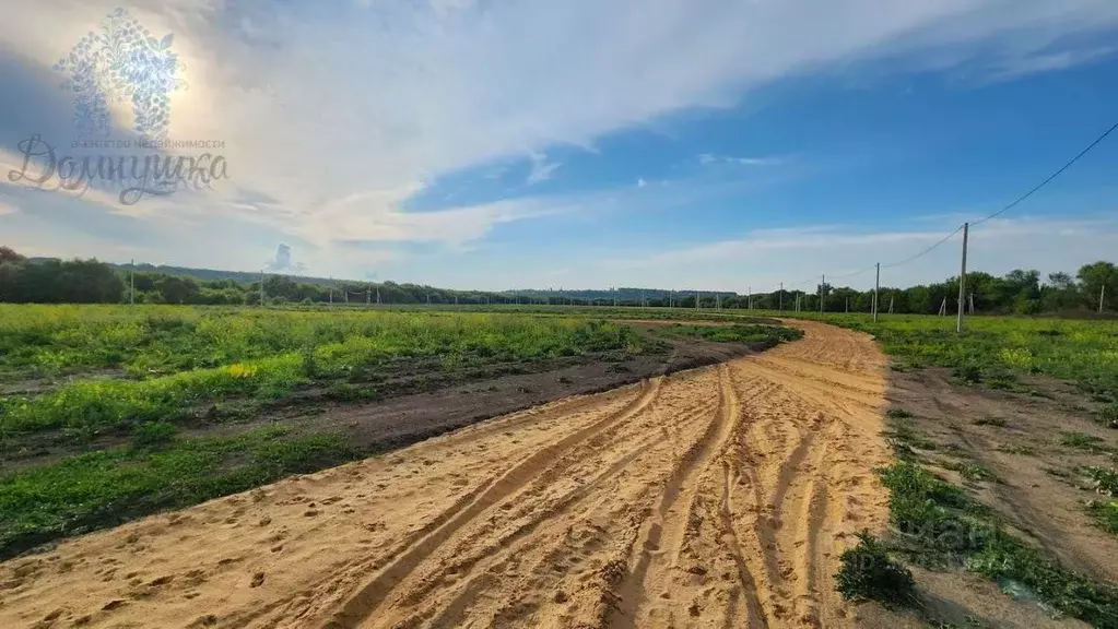 Участок в Воронежская область, Хохольский район, Новогремяченское ... - Фото 2