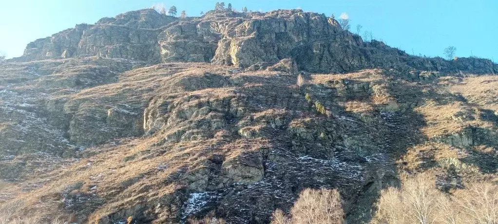 Участок в Алтай, Чемальский район, с. Аюла ул. Солнечная, 4 (9.5 сот.) - Фото 2