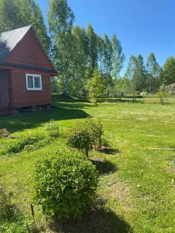 Дом в Пермский край, Осинский муниципальный округ, д. Пермякова ... - Фото 1