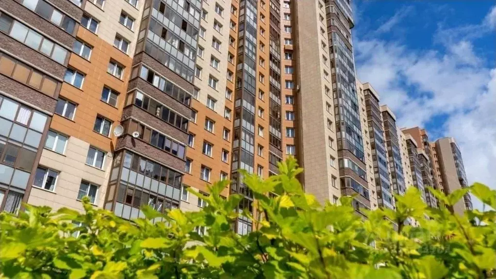 1-к кв. Санкт-Петербург просп. Королева, 63к1 (40.0 м) - Фото 2