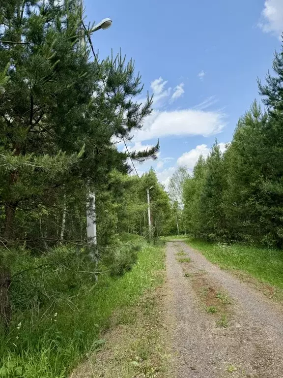 Участок в Московская область, Ступино городской округ, д. Кравцово, ... - Фото 1