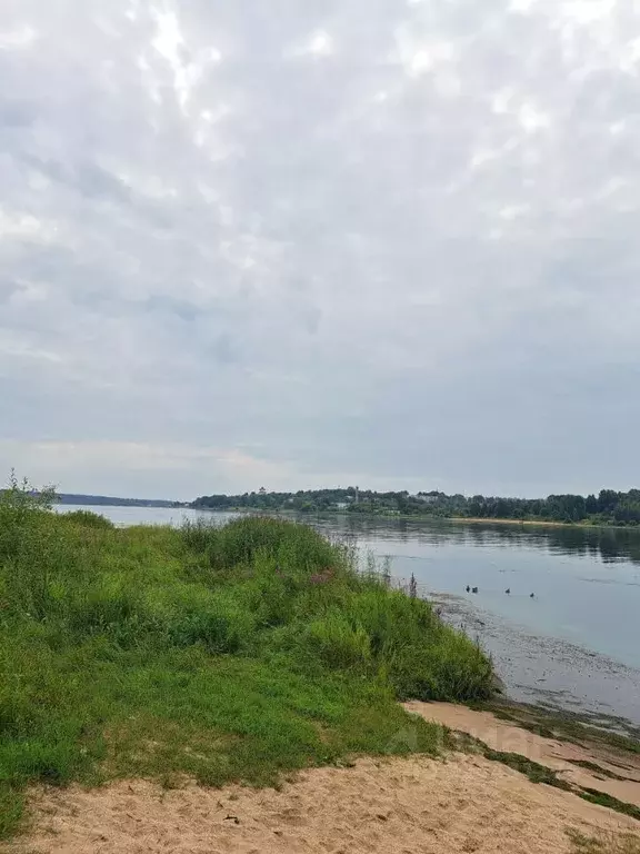 Участок в Ярославская область, Тутаевский муниципальный округ, д. ... - Фото 1