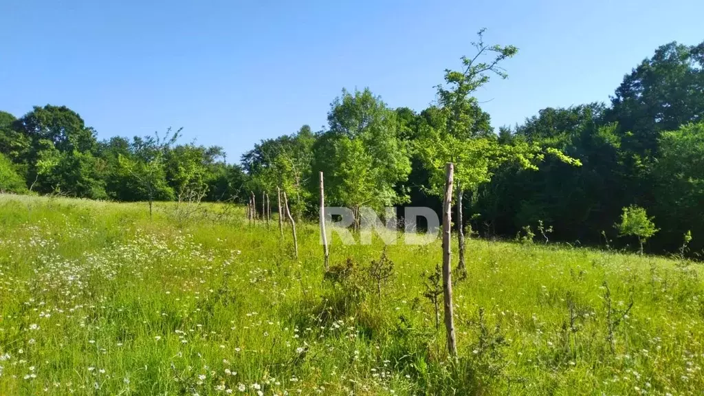 Участок в Краснодарский край, Сочи городской округ, с. Красная Воля  ... - Фото 0