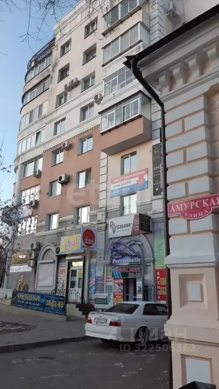 Помещение свободного назначения в Амурская область, Благовещенск ул. ... - Фото 2