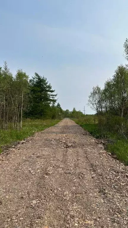 Участок в Сахалинская область, Анивский городской округ, с. Мицулевка  ... - Фото 0