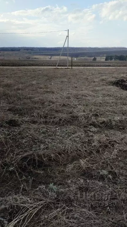 Участок в Башкортостан, Кармаскалинский район, Старомусинский ... - Фото 0