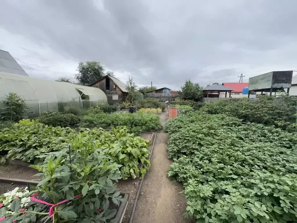 Дом в Бурятия, Улан-Удэ Сибиряк СНТ, ул. 13-я, 6 (45 м) - Фото 1