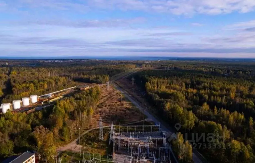 Производственное помещение в Ленинградская область, Всеволожский ... - Фото 2