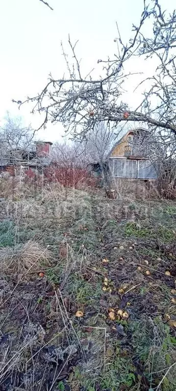 Дом в Ленинградская область, Выборг  (30 м) - Фото 0