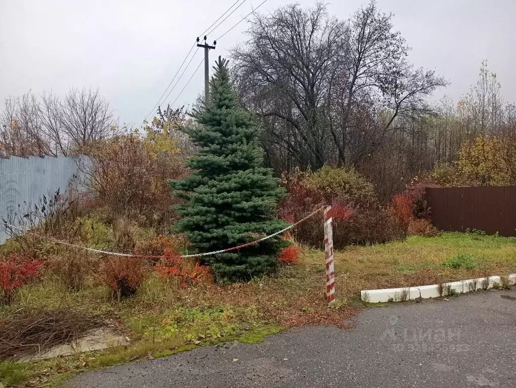 Участок в Московская область, Раменский муниципальный округ, с. ... - Фото 2