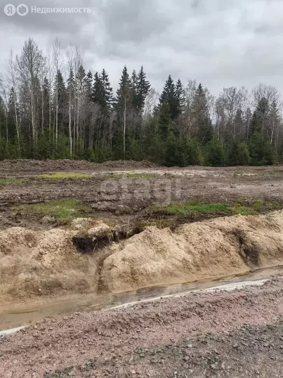 Участок в Лесколовское сельское поселение, СНТ Союз (9.1 м) - Фото 0