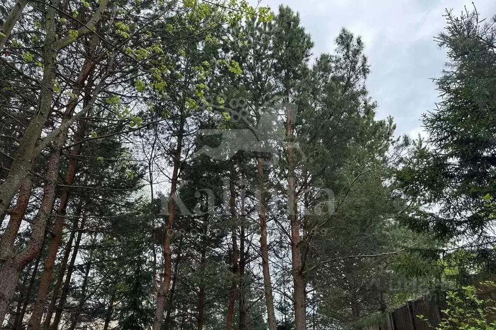 Участок в Московская область, Красногорск городской округ, д. ... - Фото 1