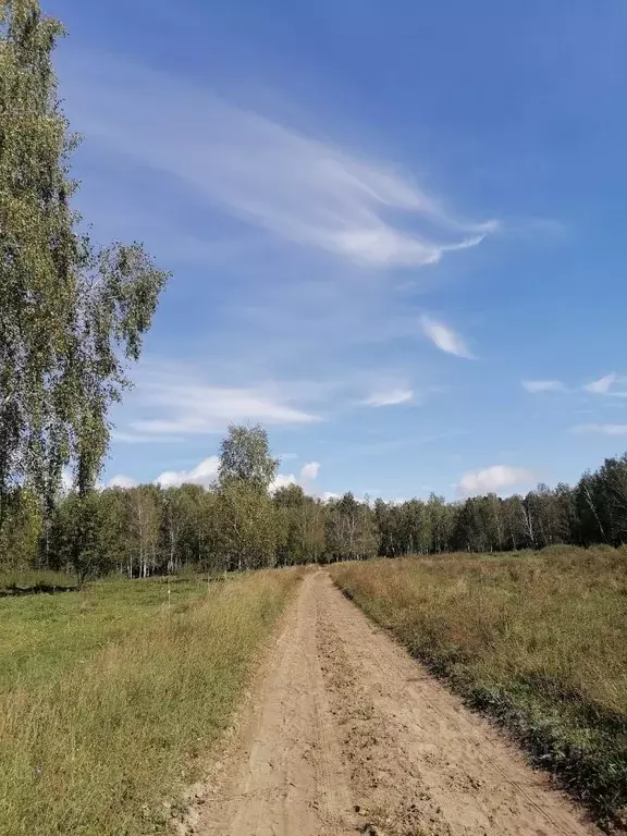 Участок в Алтайский край, Первомайский район, с. Бобровка, Ладанка мкр ... - Фото 0