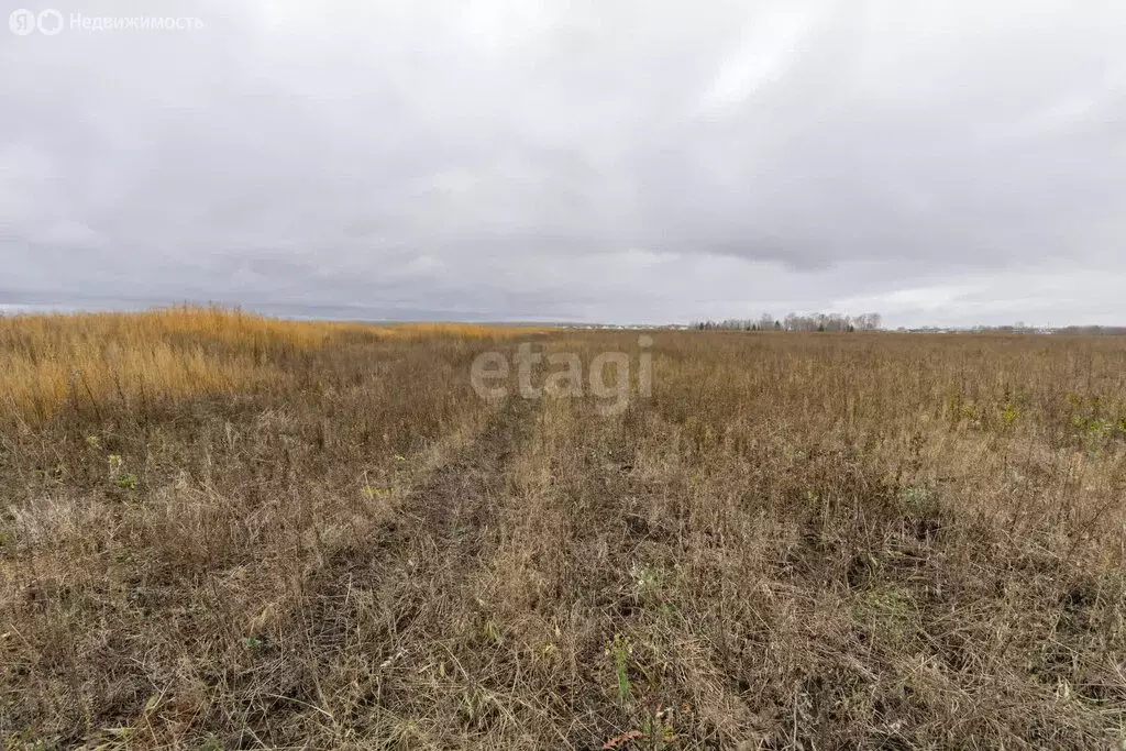 Участок в Тукаевский район, село Бетьки (10 м) - Фото 1
